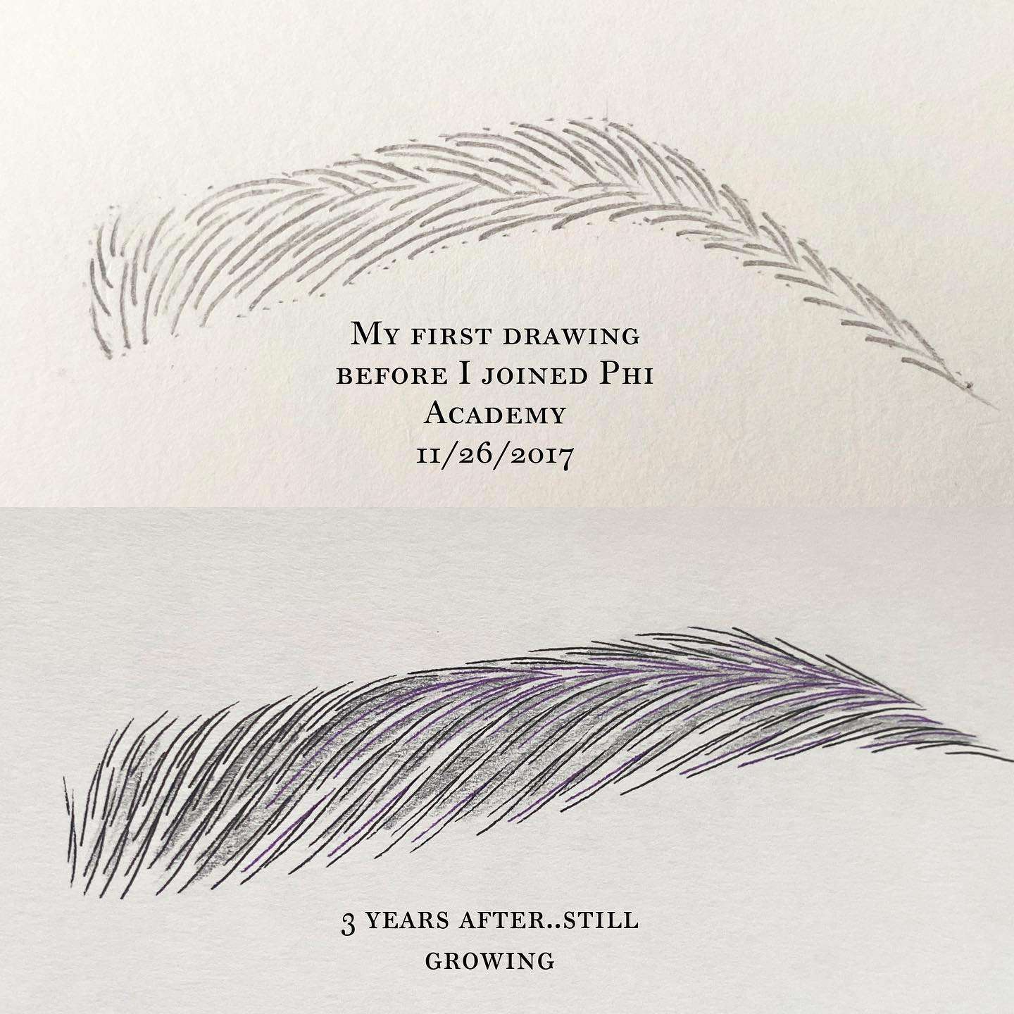 microblading drawing before and after