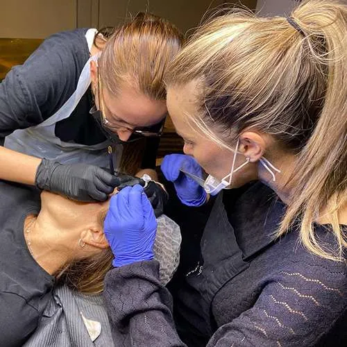 powder brows hands on training